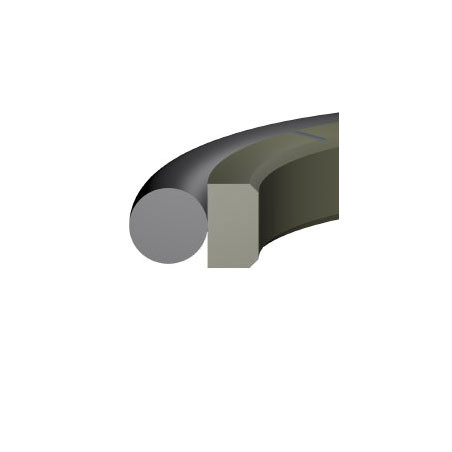 Junta RS-10 PTFE estándar 6,00x